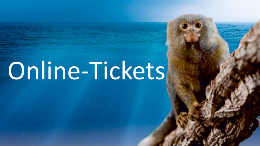 Online Tickets